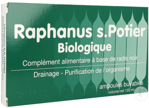 DB Pharma Raphanus S.Potier Complément Alimentaire Solution Buvable Ampoules 12x10ml