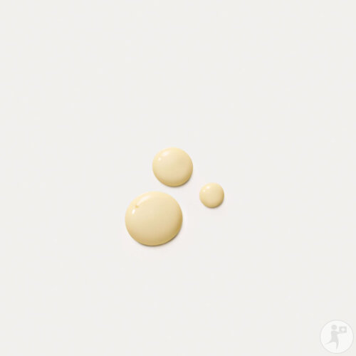 Dr. Hauschka Fluide De Jour Revitalisant Édition Limitée Flacon Pompe 75ml-2