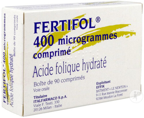 Effik Fertifol 400mcg 90 Comprimés