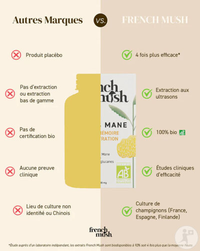 Complément Alimentaire Lion's Mane (Crinière De Lion) French Mush - Lot De 2 X 56 Gélules - Mémoire & Concentration