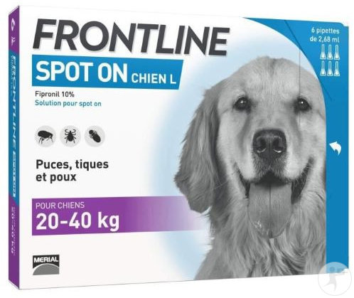 Frontline Spot-On Chien L Solution Contre Puces/Tiques/Poux 20-40kg Pipettes 6x2,68ml