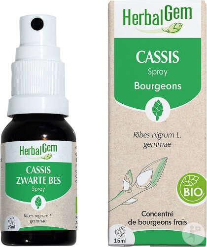 Herbalgem Cassis Bio Complément Alimentaire Extrait De Bourgeon Frais Pour Articulations Flacon 15ml