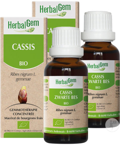 Pack De 2 Herbalgem Cassis Macérât-Mère Concentré Bio Flacon 30ml Promo 