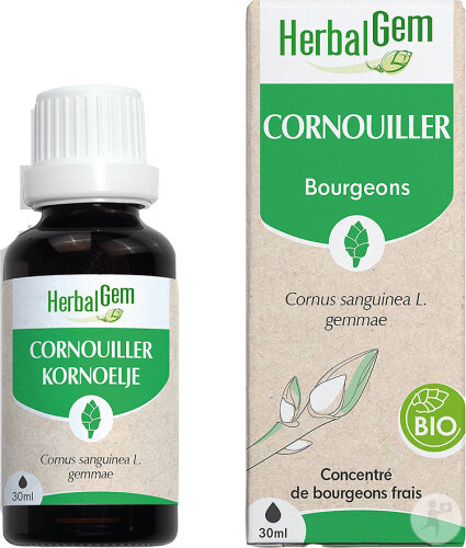 Herbalgem Cornouiller Macérat Concentré De Bourgeons Bio Flacon 30ml