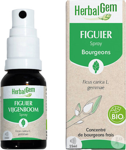Herbalgem Figuier Bio Complément Alimentaire Extrait De Bourgeon Frais Pour Digestion Flacon 15ml