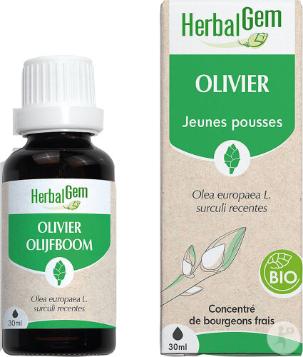 Herbalgem Olivier Bio Extrait De Bourgeon Frais Pour Circulation Sanguine Flacon 30ml