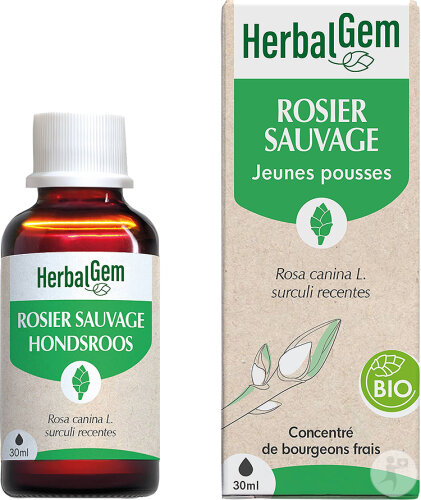 Herbalgem Rosier Sauvage Macérât-Mère Concentré Bio Flacon 30ml