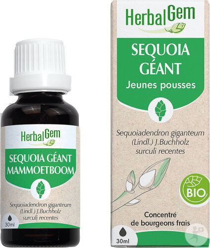 Herbalgem Séquoia Géant Jeunes Pousses Concentré De Bourgeons Frais Bio Flacon 30ml