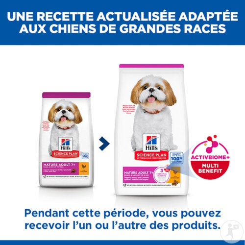 Hill's Science Plan Aliment Pour Chien Adulte Mature 7+ Small & Mini Au Poulet 6kg-2