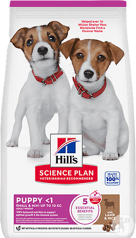Hill's Science Plan Puppy Small & Mini Croquettes À L'Agneau et Riz Pour Chiot 6kg