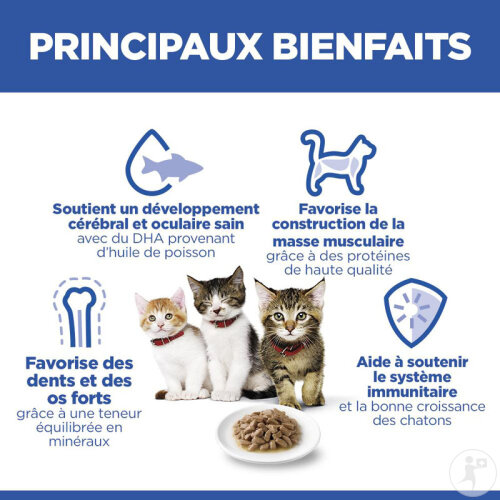 Hill s Science Plan Kitten Sachets Repas Pour Chaton Au Poisson De L hill-s-science-plan-kitten-sachets-repas-pour-chaton-au-poisson-de-l