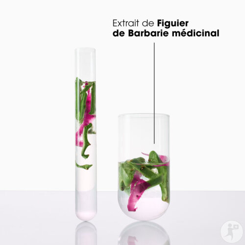 Klorane Figuier De Barbarie Après-Shampoing Désaltérant Hydratation+Brillance Cheveux Ternes 200ml-10