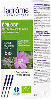 Ladrôme Epilobium Parviflorum /Epilobe Extrait De Plante Fraîche Bio Flacon 50ml