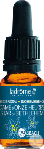 Ladrôme Dame D'Onze Heures N°29 10ml
