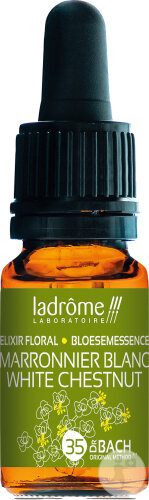 Ladrôme Marronier Blanc N°35 10ml