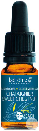 Ladrôme Orme Champêtre/Elm 10ml