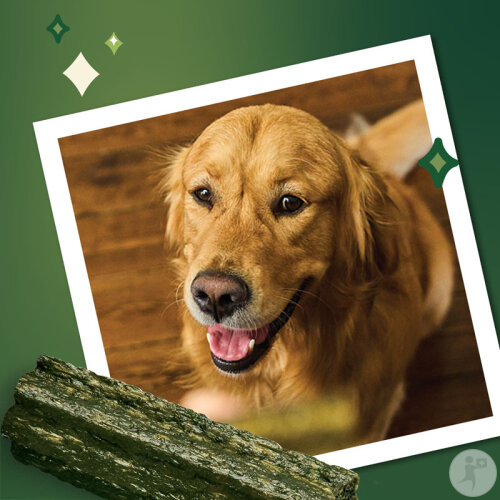 Lily's Kitchen Woofbrush Bâtonnets À Mâcher Pour Chien Taille M 7x28g-6