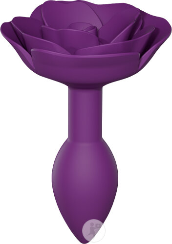 Love To Love Open Roses Taille S Purple Rain 1 Pièce