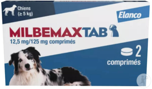 Milbemax Tab Chien Boîte 2 Comprimés