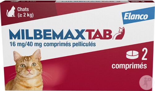 Milbemax Tab Vermifuge Spectre Large Chats Dès 2kg Comprimés Sécables 2