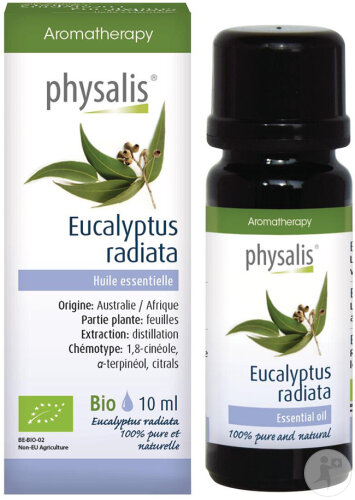Physalis Huile Essentielle 100% Pure Et Naturelle Eucalyptus Radiata 10ml