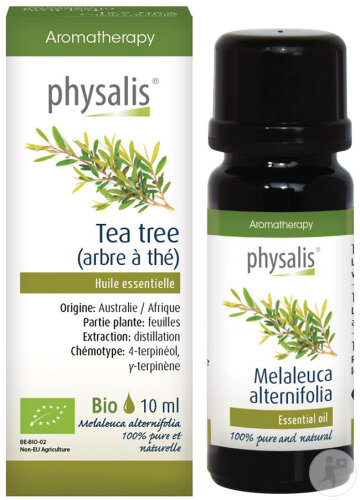 Physalis Huile Essentielle 100% Pure Et Naturelle Tea Tree 10ml