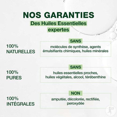 Pranarôm Angélique Huile Essentielle 5ml-2
