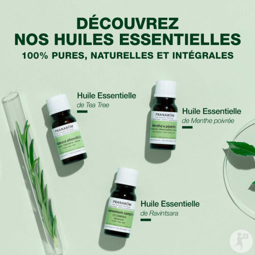 Pranarôm Angélique Huile Essentielle 5ml-5