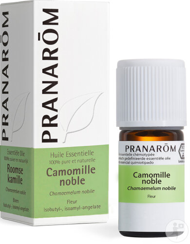 Pranarôm Camomille Noble Huile Essentielle 5ml