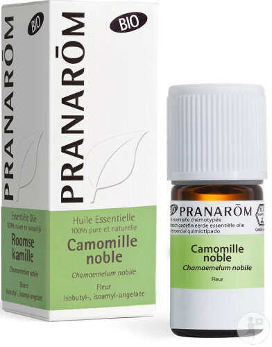 Pranarôm Camomille Noble Huile Essentielle Bio 5ml