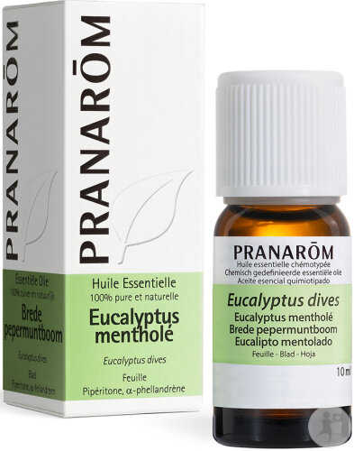 Pranarôm Eucalyptus Mentholé Huile Essentielle 10ml