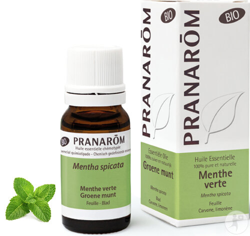 Pranarôm Huile Essentielle De Menthe Verte Bio Flacon 10 ml