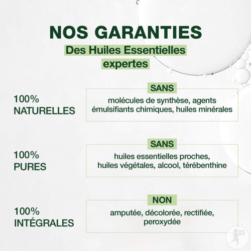 Pranarôm Huile Essentielle Laurier Noble 5ml-2