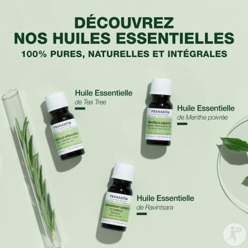 Pranarôm Huile Essentielle Laurier Noble 5ml-5