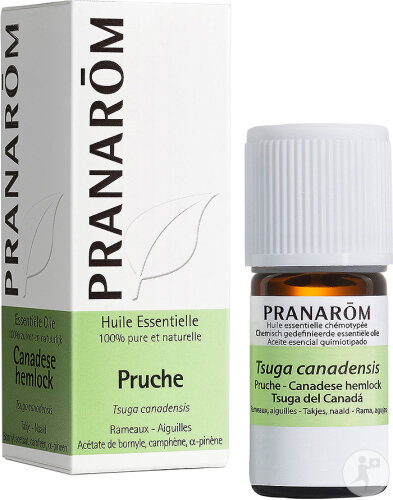 Pranarôm Huile Essentielle Pruche Rameaux-Aiguilles 5ml