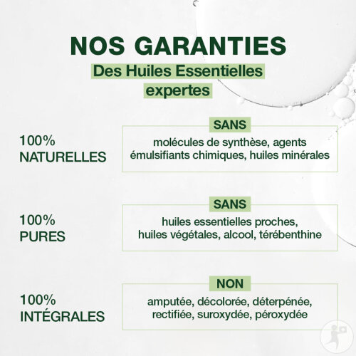 Pranarôm Huile Essentielle Tea-Tree 10ml-2