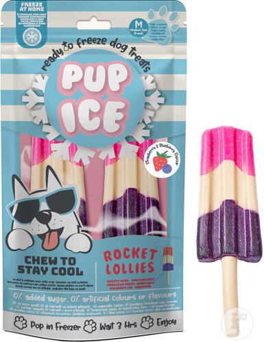 Pup Ice Rocket Lollies Fraise Myrtille 2x90g
