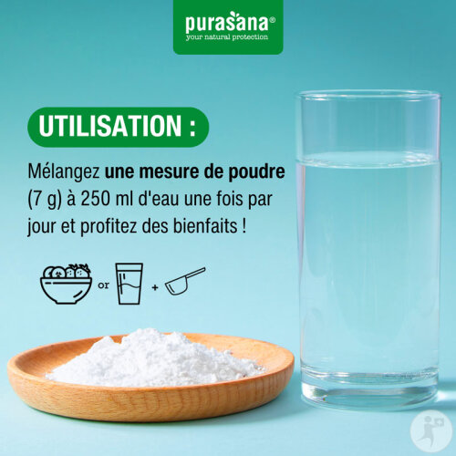 Purasana Vegan Chlorella Bio 500 Gélules-4