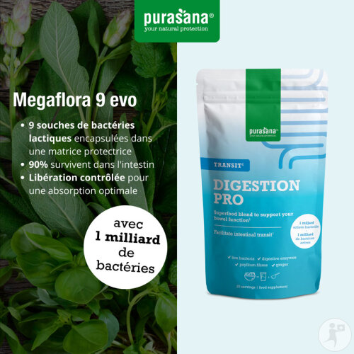Purasana Vegan Chlorella Bio 500 Gélules-6