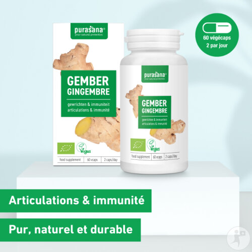 Gingembre Bio Complément Alimentaire – 120 Gélules – Fabriqué En France – Anti-Fatigue & Digestion