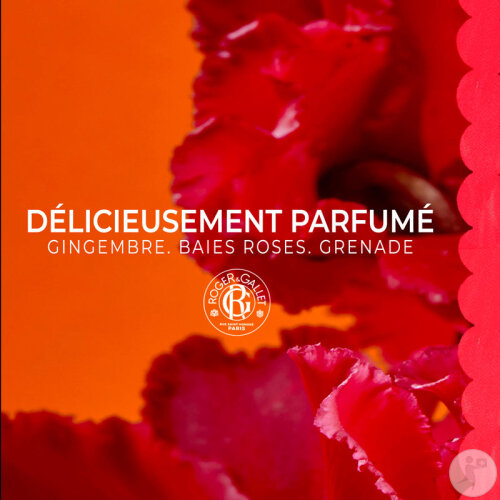 Roger & Gallet Gingembre Rouge Gel Douche Bienfaisant Tube 200ml-2