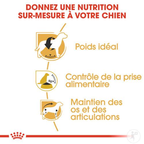 Royal Canin Breed Health Nutrition Adult Beagle Chien 12kg-6
