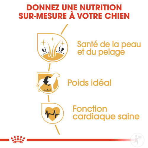 Royal Canin Breed Health Nutrition Adult Cocker 12kg-6