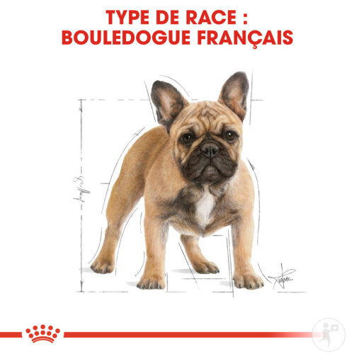 Royal Canin Breed Health Nutrition Adult French Bulldog 9kg-4