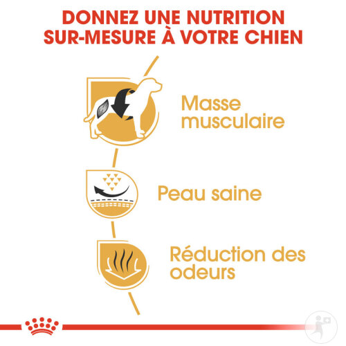 Royal Canin Breed Health Nutrition Adult French Bulldog 9kg-6