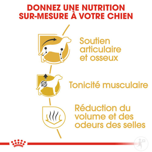 Royal Canin Breed Health Nutrition Adult Race Teckel 7,5kg-6