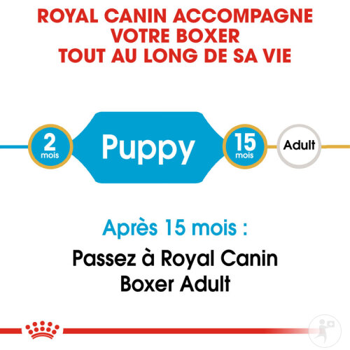 Royal Canin Breed Health Nutrition Boxer Puppy 12kg-4