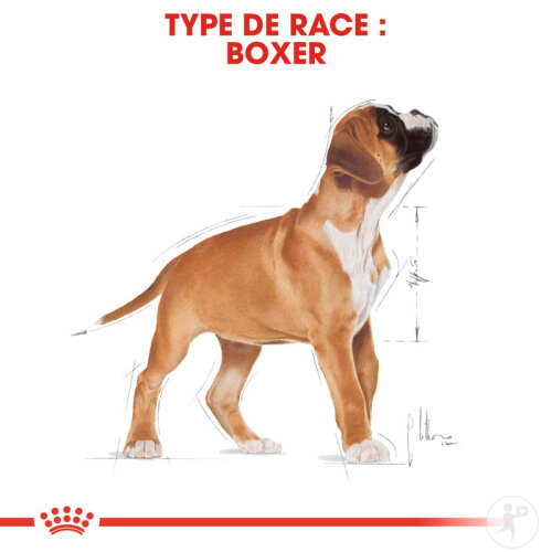Royal Canin Breed Health Nutrition Boxer Puppy 12kg-7