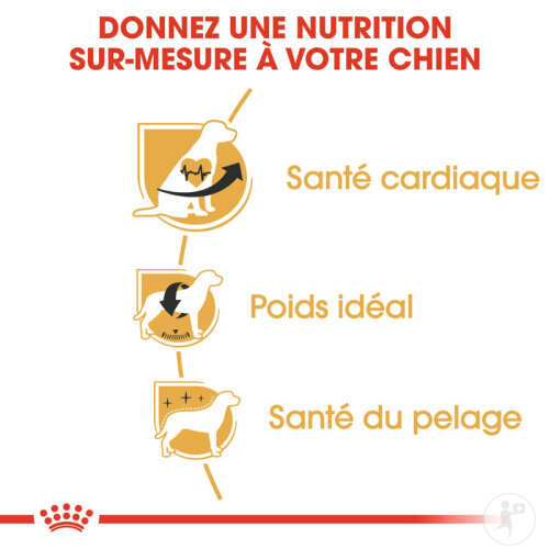 Royal Canin Breed Health Nutrition Cavalier King 1,5kg-5