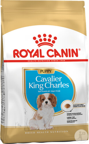 Royal Canin Breed Health Nutrition Junior Cavalier King Charles 1,5kg